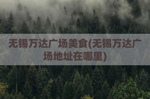 无锡万达广场美食(无锡万达广场地址在哪里)