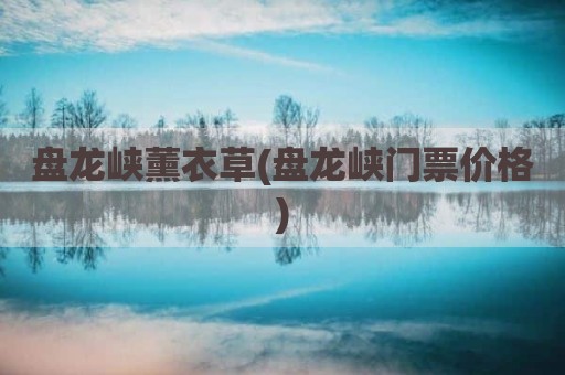 盘龙峡薰衣草(盘龙峡门票价格)
