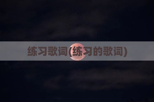 练习歌词(练习的歌词)