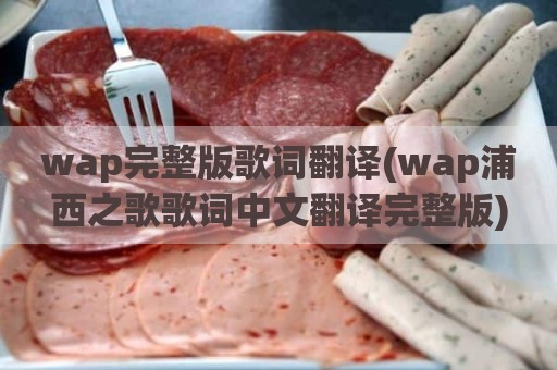 wap完整版歌词翻译(wap浦西之歌歌词中文翻译完整版)