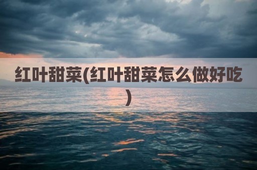 红叶甜菜(红叶甜菜怎么做好吃)