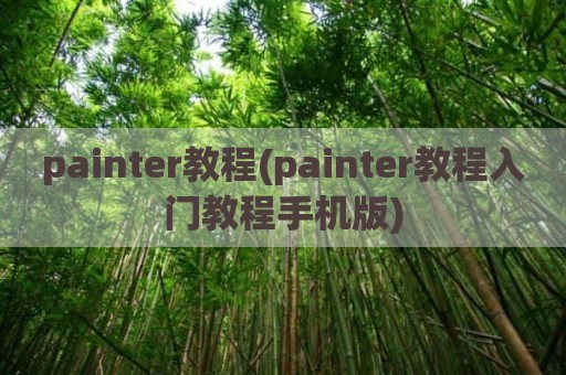 painter教程(painter教程入门教程手机版)
