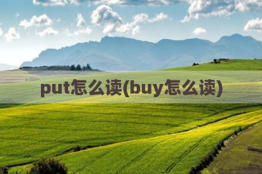 put怎么读(buy怎么读)