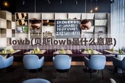 lowb(贝斯lowb是什么意思)