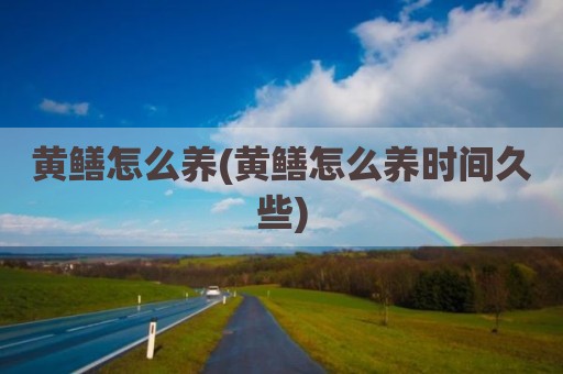 黄鳝怎么养(黄鳝怎么养时间久些)