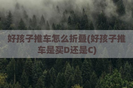 好孩子推车怎么折叠(好孩子推车是买D还是C)