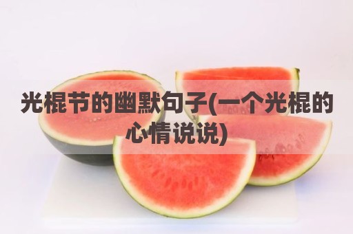 光棍节的幽默句子(一个光棍的心情说说)