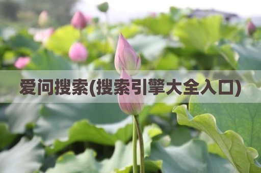 爱问搜索(搜索引擎大全入口)