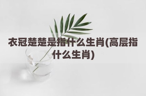 衣冠楚楚是指什么生肖(高层指什么生肖)