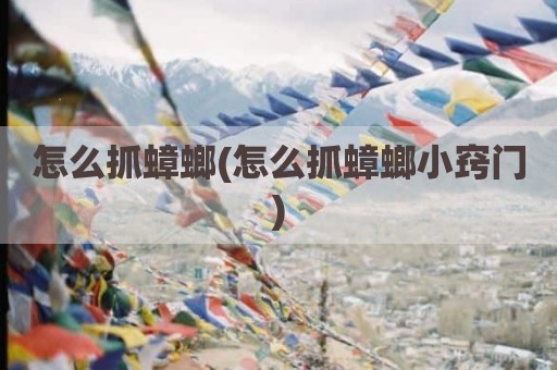 怎么抓蟑螂(怎么抓蟑螂小窍门)