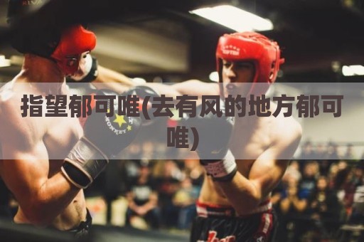 指望郁可唯(去有风的地方郁可唯)