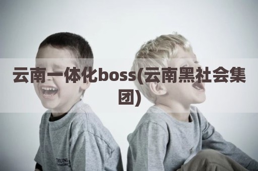 云南一体化boss(云南黑社会集团)