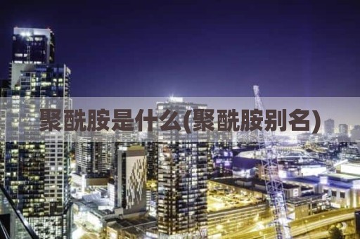聚酰胺是什么(聚酰胺别名)