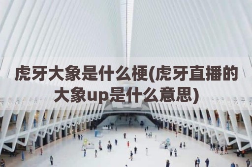 虎牙大象是什么梗(虎牙直播的大象up是什么意思)