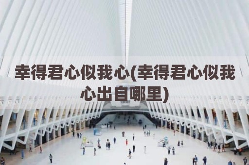 幸得君心似我心(幸得君心似我心出自哪里)