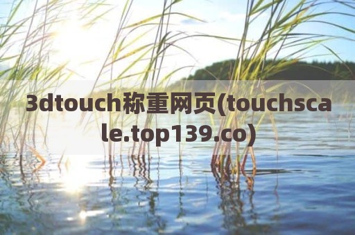 3dtouch称重网页(touchscale.top139.co)