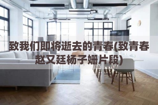 致我们即将逝去的青春(致青春赵又廷杨子姗片段)