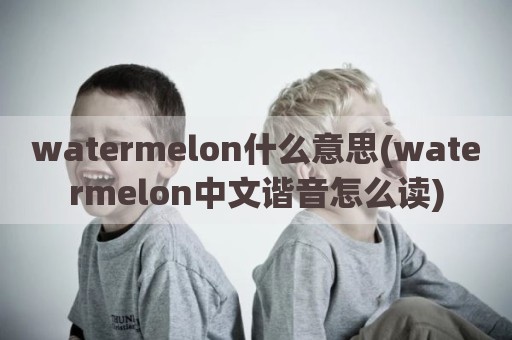 watermelon什么意思(watermelon中文谐音怎么读)