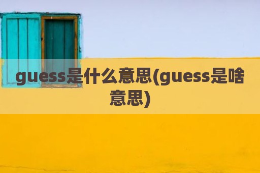 guess是什么意思(guess是啥意思)