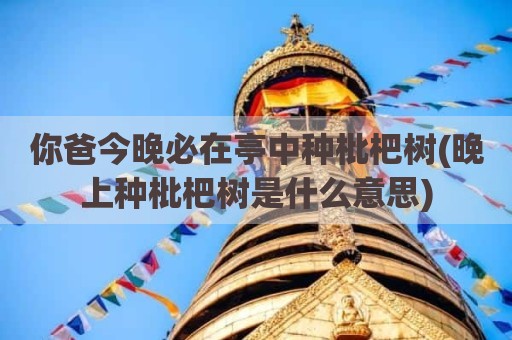 你爸今晚必在亭中种枇杷树(晚上种枇杷树是什么意思)