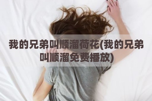 我的兄弟叫顺溜荷花(我的兄弟叫顺溜免费播放)