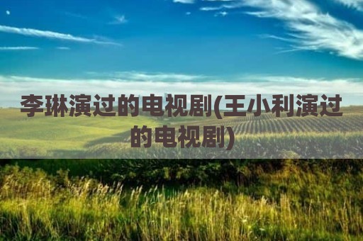 李琳演过的电视剧(王小利演过的电视剧)