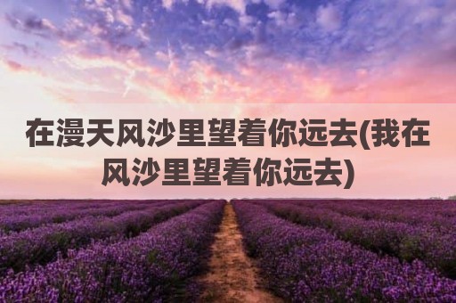 在漫天风沙里望着你远去(我在风沙里望着你远去)