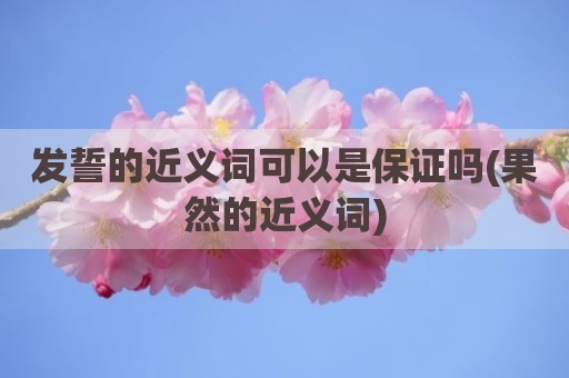 发誓的近义词可以是保证吗(果然的近义词)
