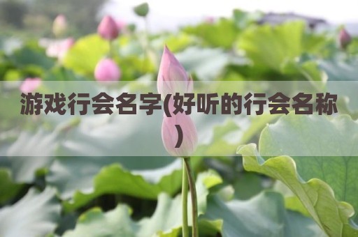 游戏行会名字(好听的行会名称)
