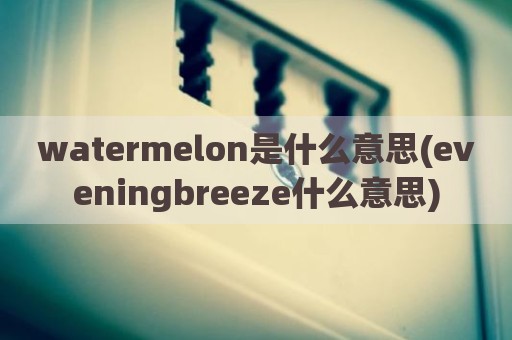 watermelon是什么意思(eveningbreeze什么意思)