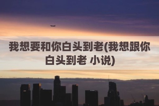 我想要和你白头到老(我想跟你白头到老 小说)