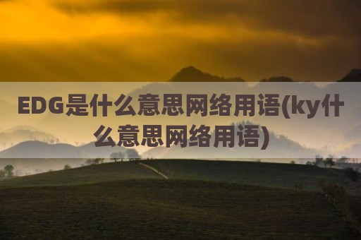 EDG是什么意思网络用语(ky什么意思网络用语)