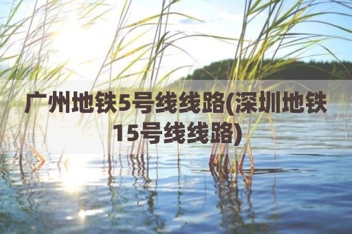 广州地铁5号线线路(深圳地铁15号线线路)