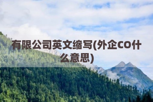 有限公司英文缩写(外企CO什么意思)