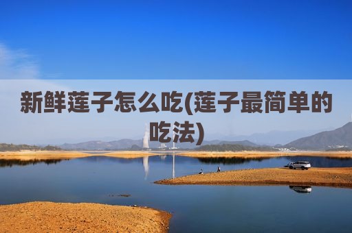 新鲜莲子怎么吃(莲子最简单的吃法)