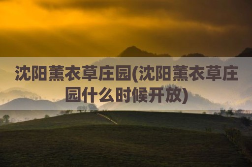 沈阳薰衣草庄园(沈阳薰衣草庄园什么时候开放)