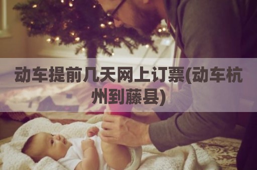 动车提前几天网上订票(动车杭州到藤县)