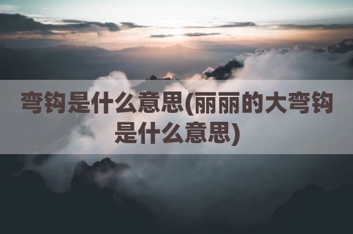 弯钩是什么意思(丽丽的大弯钩是什么意思)