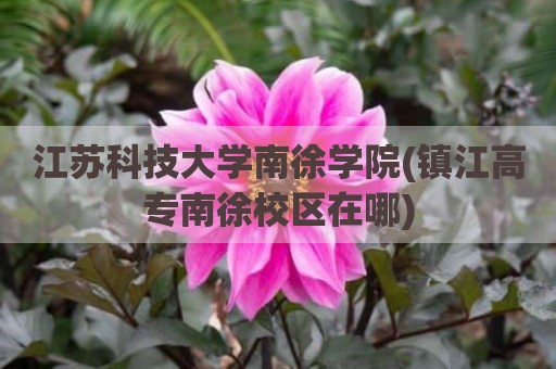 江苏科技大学南徐学院(镇江高专南徐校区在哪)