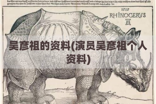 吴彦祖的资料(演员吴彦祖个人资料)