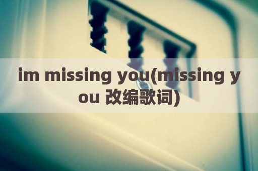 im missing you(missing you 改编歌词)