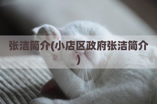 张洁简介(小店区政府张洁简介)