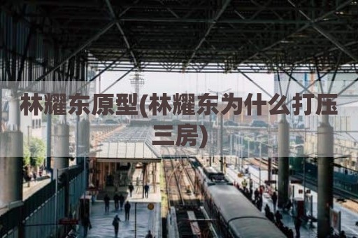 林耀东原型(林耀东为什么打压三房)