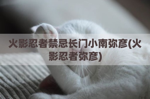 火影忍者禁忌长门小南弥彦(火影忍者弥彦)