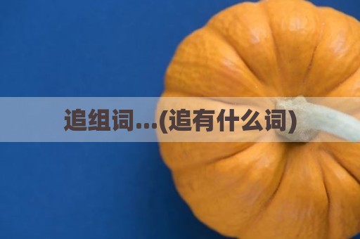 追组词...(追有什么词)