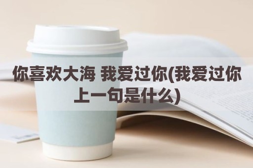 你喜欢大海 我爱过你(我爱过你上一句是什么)