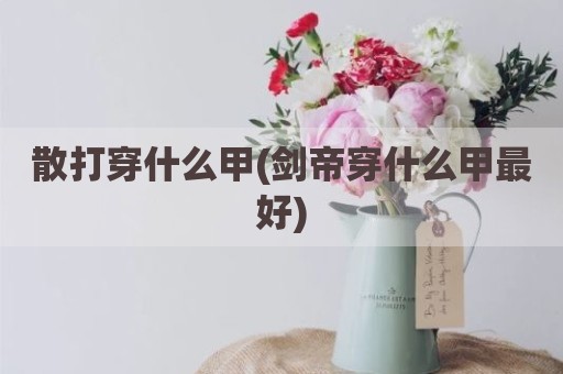 散打穿什么甲(剑帝穿什么甲最好)