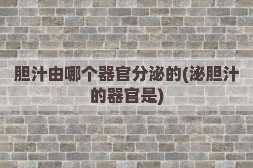胆汁由哪个器官分泌的(泌胆汁的器官是)