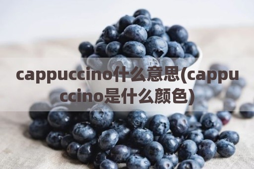 cappuccino什么意思(cappuccino是什么颜色)