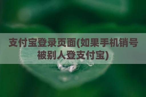 支付宝登录页面(如果手机销号被别人登支付宝)
